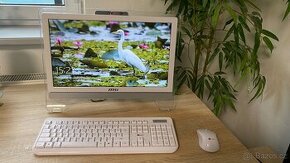 All In One - MSI 20"