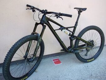 Specialized Enduro S-Works Carbon 29" - 1