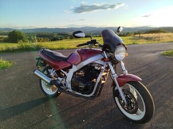 SUZUKI GS500E