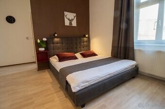 krásný byt 1+1, 35m2 v ul. Kubelíkova, Praha 3 - Žižkov