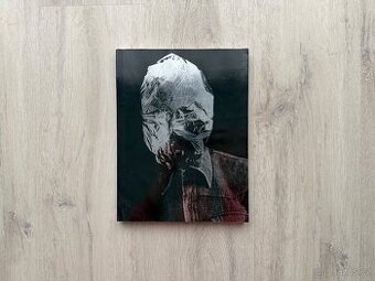 Vladimír Ambroz - Akce / Actions