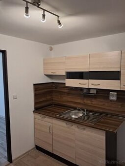 1+1, Letovice, pronájem