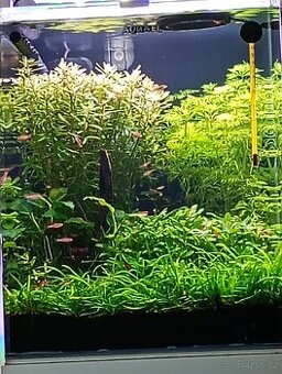 Nano akvárium Optiwhite