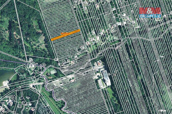 Prodej lesa, 953 m², Kněždub