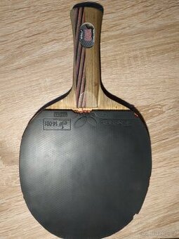 pálka stolní tenis