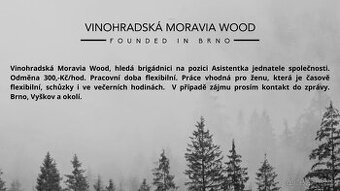 Asistentka jednatele