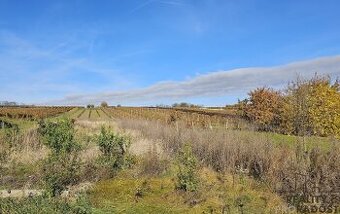 Prodej stavebního pozemku 814 m² s projektem na RD 5+kk