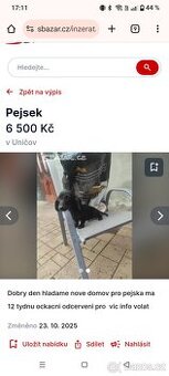 POZOR na prodejce psů