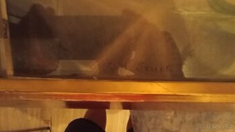 Prodám jako celek .