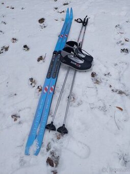 Běžky Artis (185cm) + Botas Madison (vel. 45)