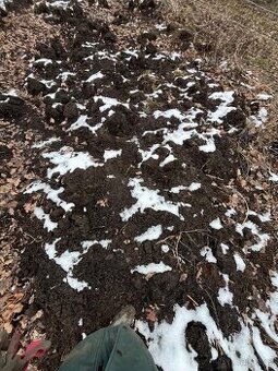 Substrát zemina na pěstování do zahrady