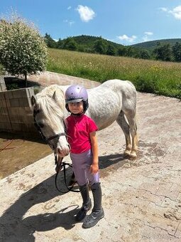 Predam sikovneho S pony