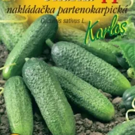 Koupím okurky nakládačky