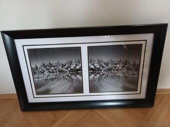 Zarámované fotografie v černobílém provedení