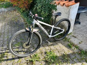 Horské kolo Specialized Rockhopper 29” S
