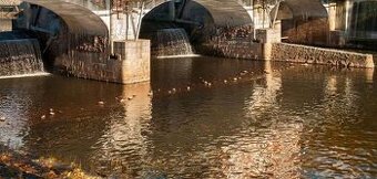 Pronájem Hradec KrálovĂ© a okolĂ