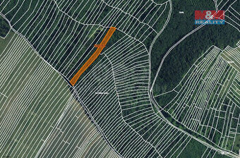 Prodej lesa, 3219 m², Horní Bojanovice