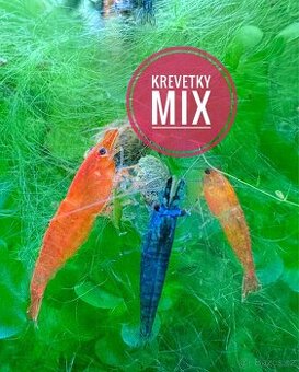 Krevetky MIX