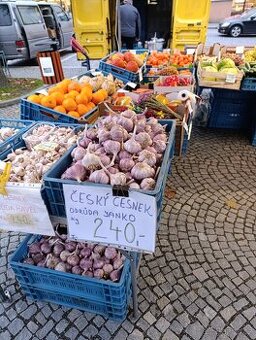 Brambory na uskladnění, český česnek