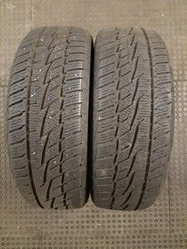 Zimní 185/60/15