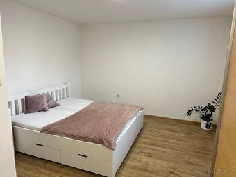 Pronájem bytu 2+1, Husova, Náměšť nad Oslavou - 1