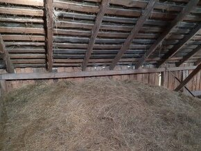 Daruji seno za odvoz