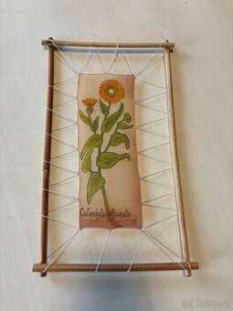Malba na hedvábí – Měsíček lékařský (Calendula officinalis)