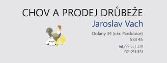 BROJLEROVÁ KUŘATA