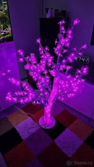 Svíticí sakura - 1