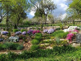 Chata se zahradou v obci Bílovice nad Svitavou, CP 501m2