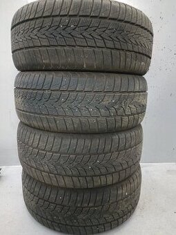 225/50 R17 zimn