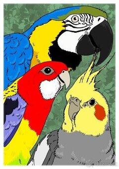 ...ZO ČSCH Chodov trhy exotického ptactva, prodej krmiv....