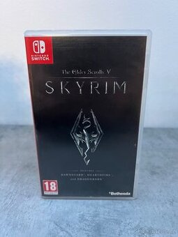 Nintendo switch skyrim