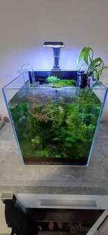 Prodej ZAROSTLÉHO KREVETÁRIA s TOP VÝBAVOU