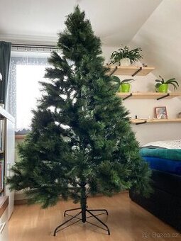 Vánoční stromeček - výška 2,4m /průměr 152cm