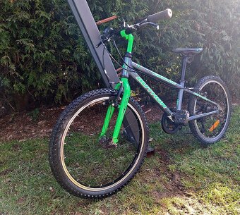 Chlapecké kolo Author