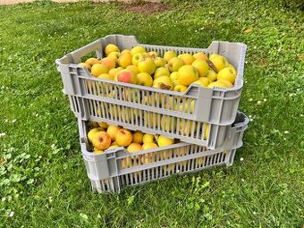 Přepravky OZ na brambory i jablka 60.40.22 cm