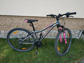 Prodám kolo Author A-matrix