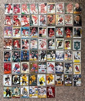 Hokejové karty Robert Reichel - 69 karet