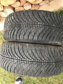 Celorocni pneu 195/55/15