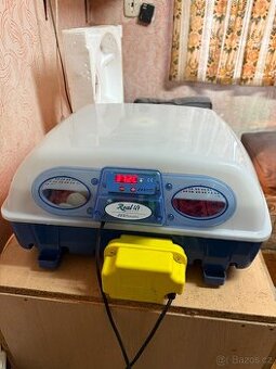 Líheň Real 49 automatic