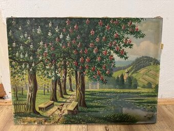 Obrazy Plátno a Olej Malba