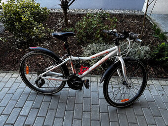 DĚTSKÉ KOLO CORE Nipper 24"