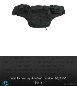 Ledvinka Dasta
