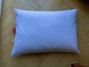 Perovy polstar Billerbeck - 1