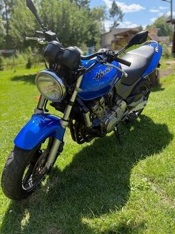 Hornet 600f