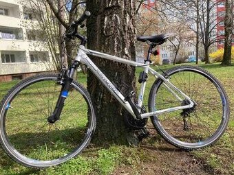 Kilimanjaro x-fact 19inch