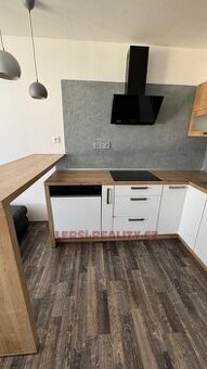 Pronájem zrekonstruovaného bytu 1+1,  47 m2, ul. Brněnská v 