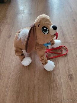 Floppy pejsek - 1