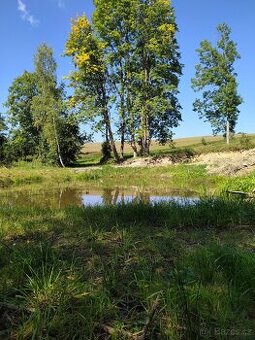 Prodej pozmků Přídolí-Lověšice